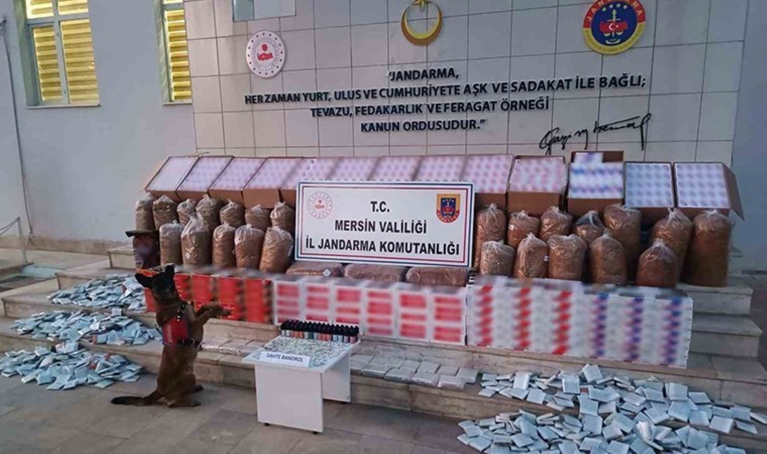 Mersin’de kaçakçılık operasyonu: 208 bin adet makaron ele geçirildi